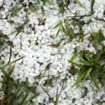 Grandine ed eventi climatici estremi