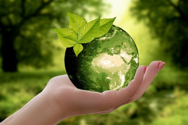 PNRR: quali incentivi alle aziende che si impegnano nella transizione ecologica?